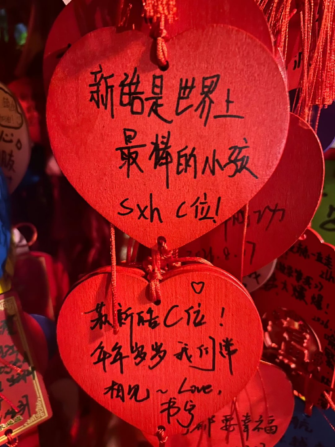 铲丝对苏新皓的爱是克制人均苏新皓C位哈哈哈哈哈哈哈铲丝可爱，人均苏新皓C位 ​​