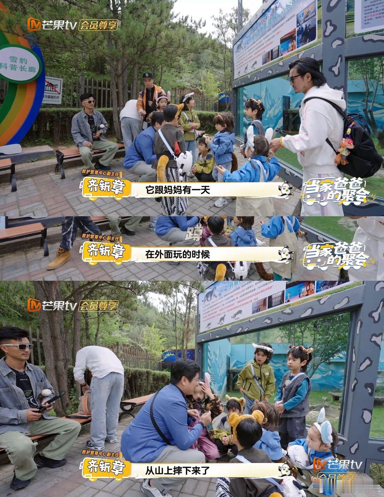 爸爸当家西野特辑 西野真的刷新了我对动物园的认知！不是只把动物关起来供人观赏，而