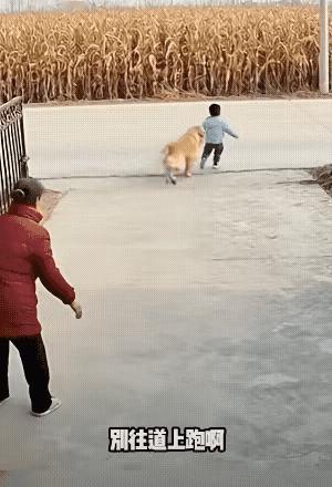 有时候家里养一只狗狗真的是非常好的，说不定真的能够救人一命！一位阿姨家养了一只狗