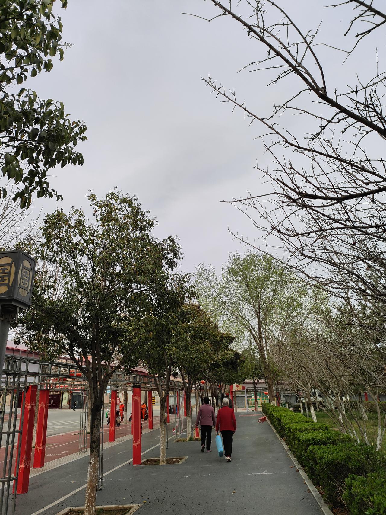 春日的步道上，两位老人并肩而行，背影里藏着岁月的安稳与温柔。新绿与枯枝交错，红灯