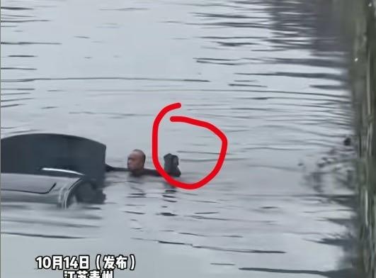 跳河，砸天窗，救人。
车辆入水后，尤其是被水浸泡后，徒手很难救援。
这大哥非常冷