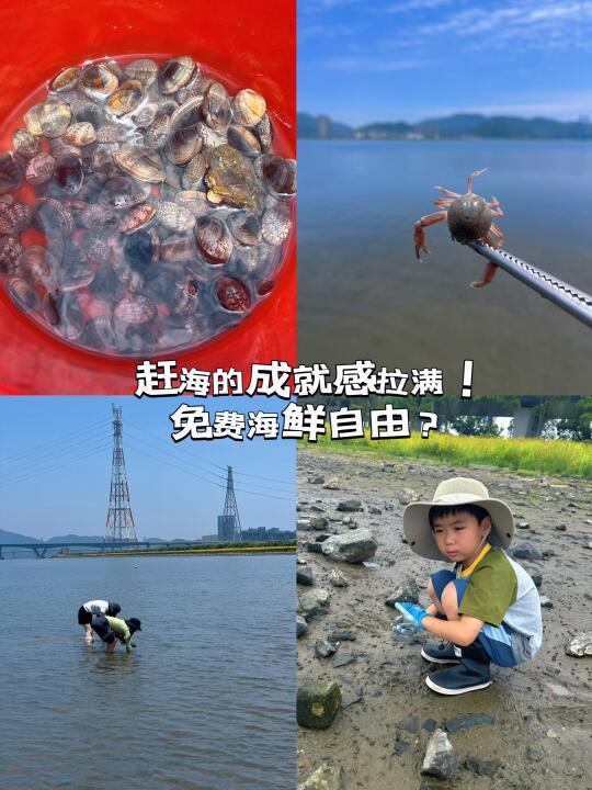 赶海真是太好玩了！快去！