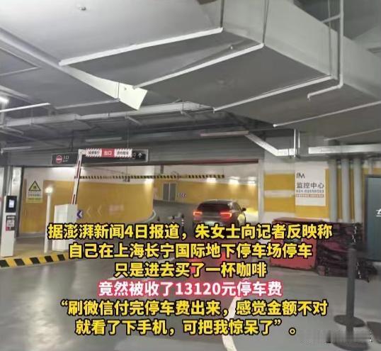 女子停车40分钟被收13120元，评论区一边倒，商场物业回应
 
谁能想到因为一