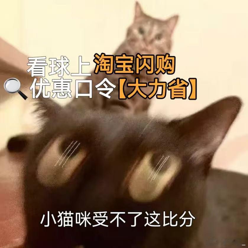 西班牙冠军恭喜西班牙拿下冠军！但阿根廷真的虽败犹荣，中卫接连伤退、恩佐染红十人硬