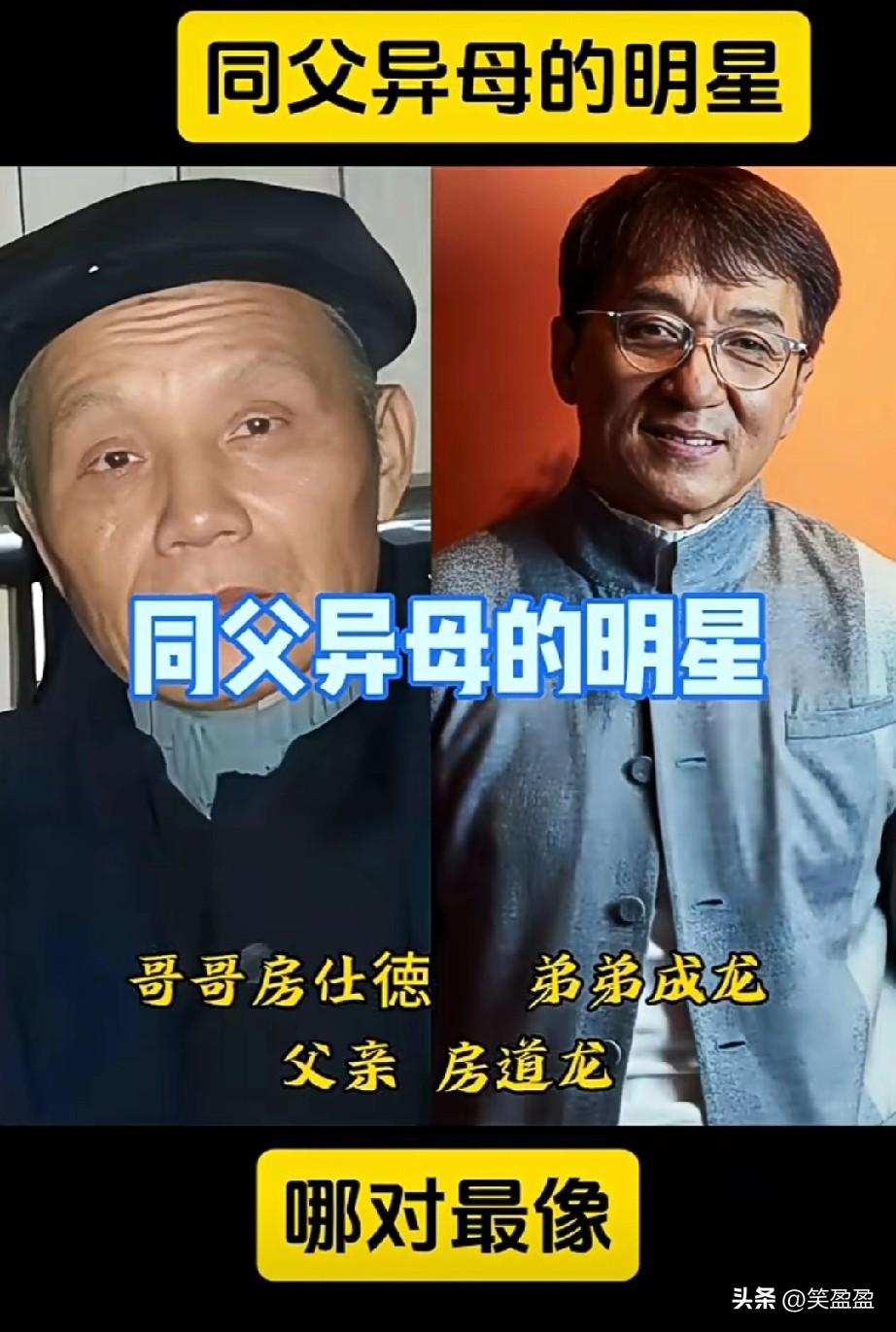 同父异母的明星
哪一对更像呢？