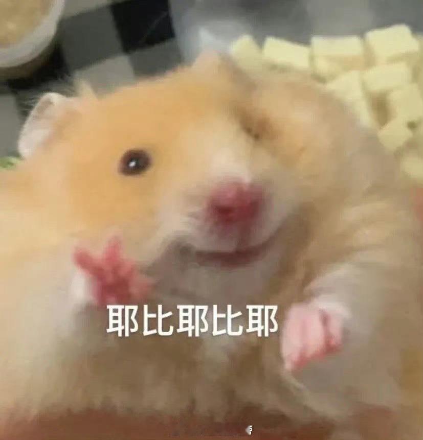 突击检查：请交出你这周末正在看的小说！[举手] ​​​