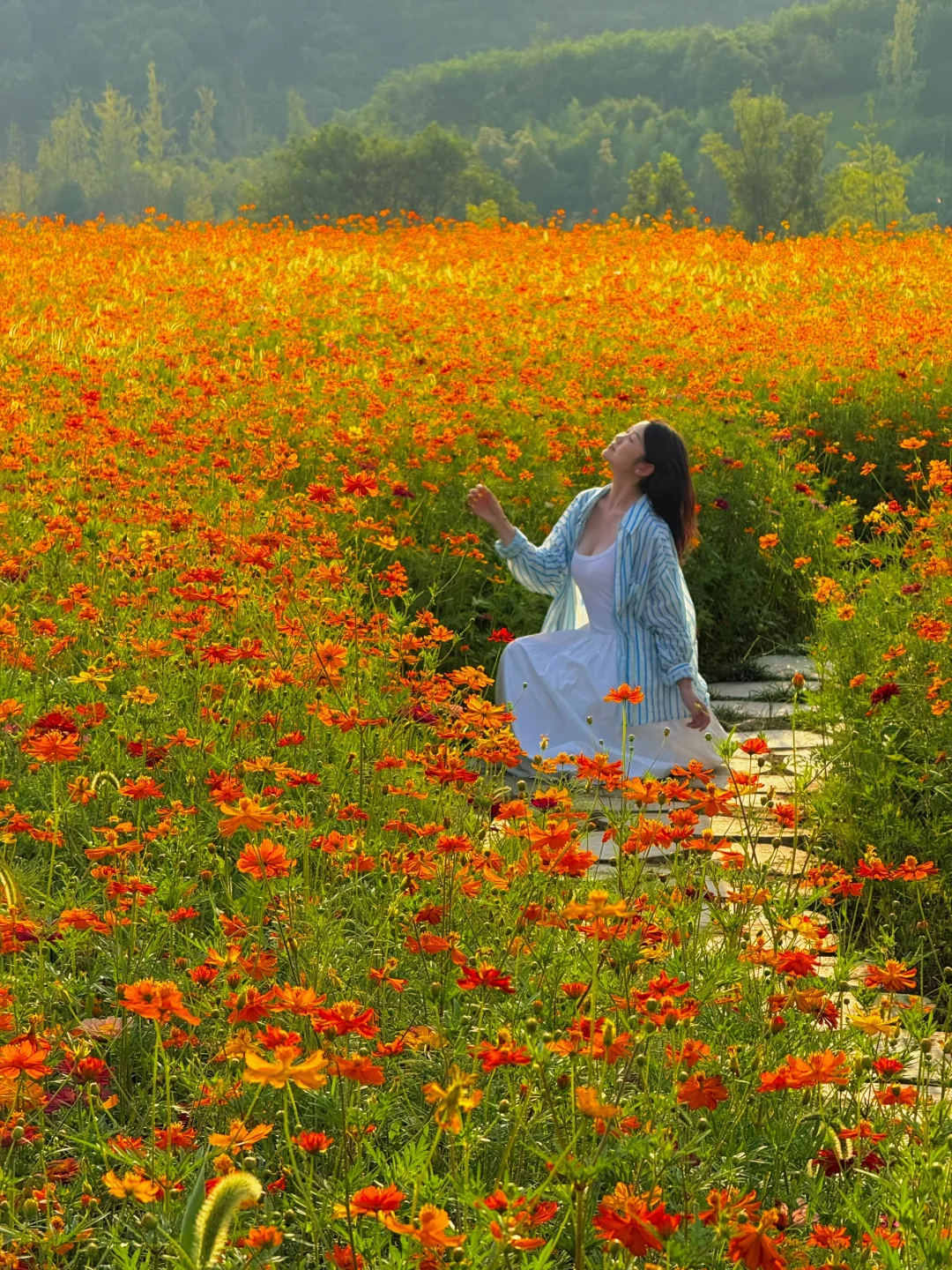 7.16实拍！兴隆湖的花海！简直封神了……