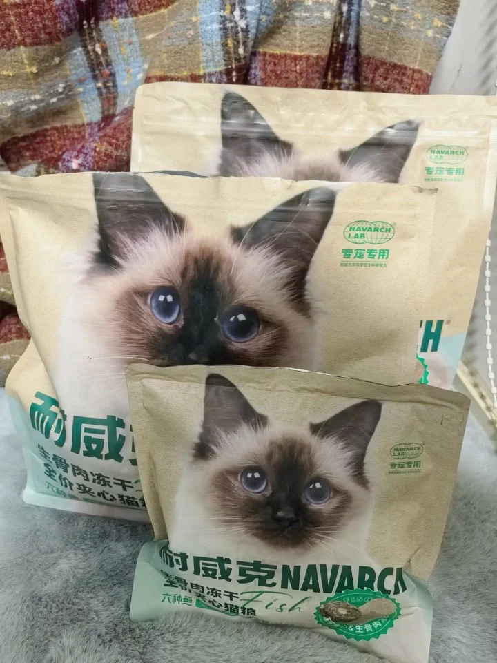 小鱼干开会啦，猫猫爱吃❗️🐟