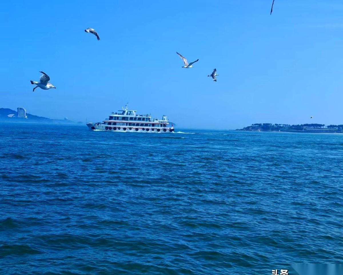 我堂弟，48岁，镇党委书记干了6年，现在面前摆着两条路。
一个，是去隔壁县当副县