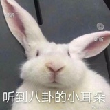 追风说说科技