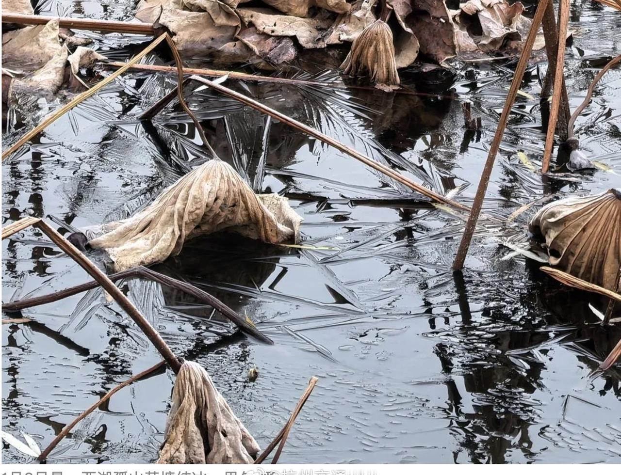 【杭州西湖小范围结冰了】西湖结冰了！记者从杭州市气象服务中心了解到，杭城今天6时