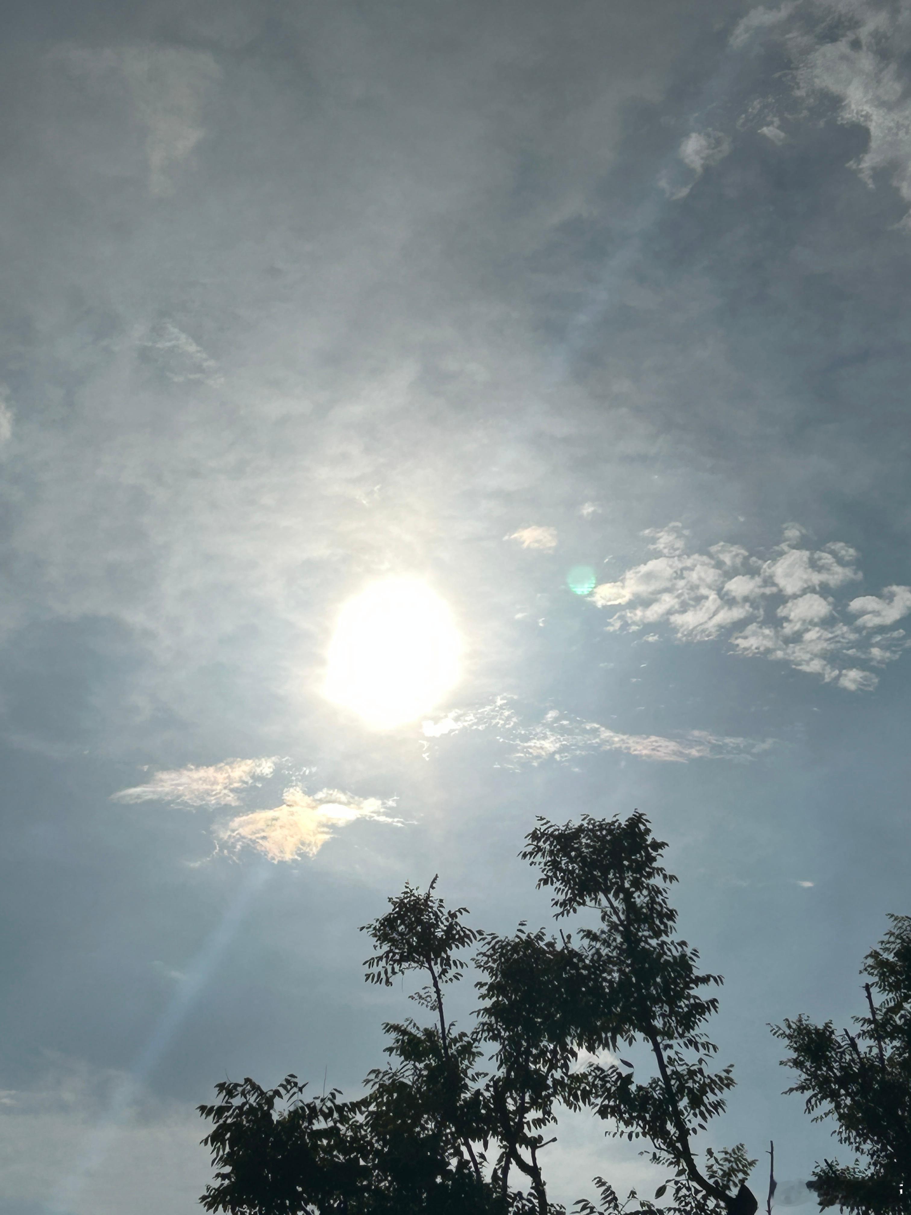 太阳雨～ 