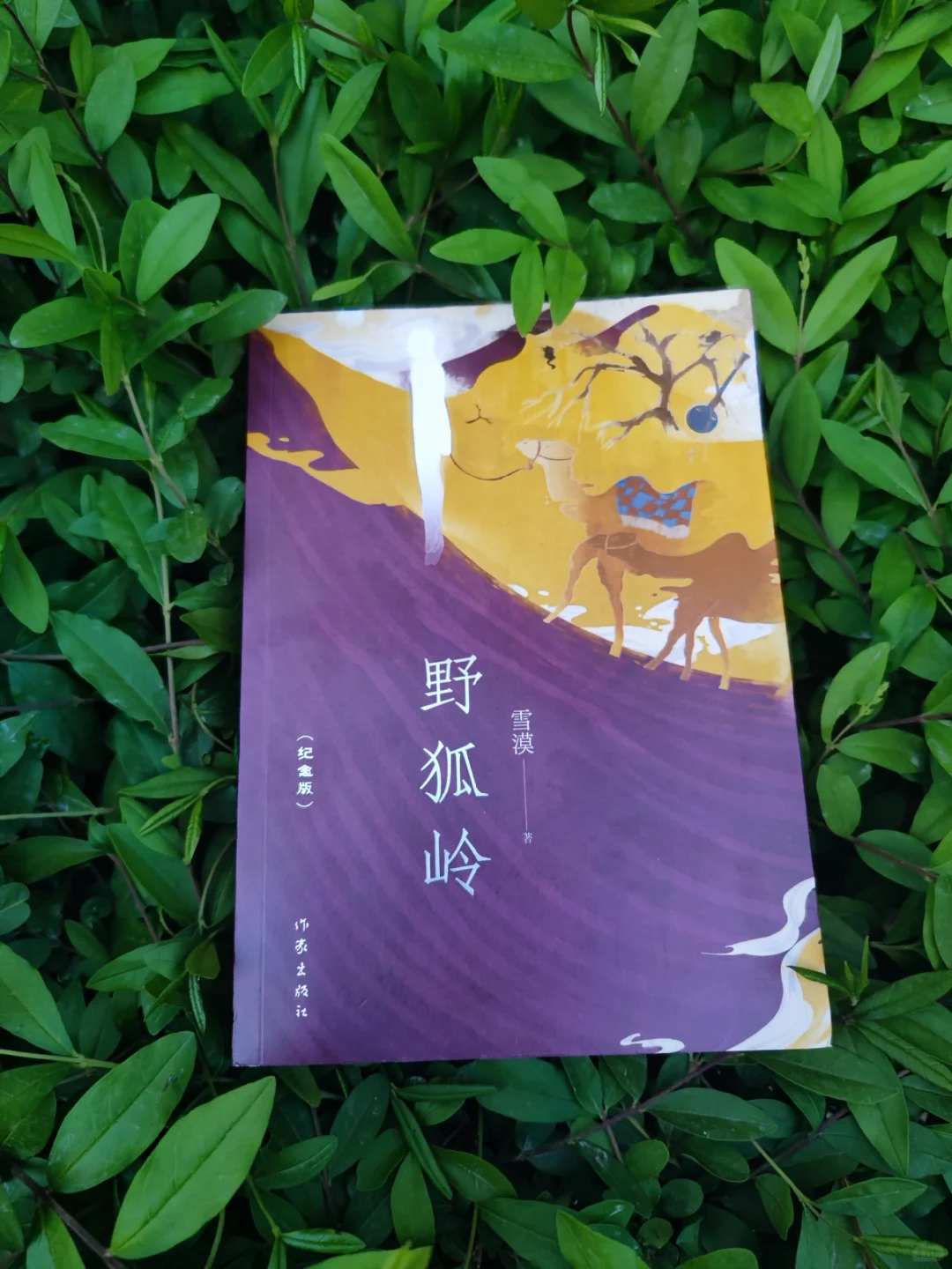 魔幻与现实之间的“野狐岭”