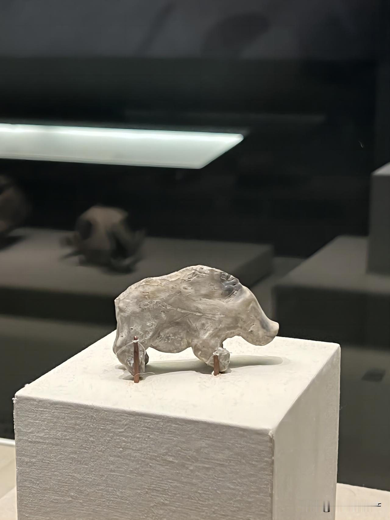 跨越5000年的“猪”！河姆渡人陶器上的猪，开启了整个中国人的养猪宇宙。
现存于