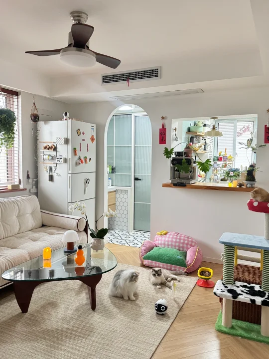 长大真好！有房有猫真好！🐈✨🏡