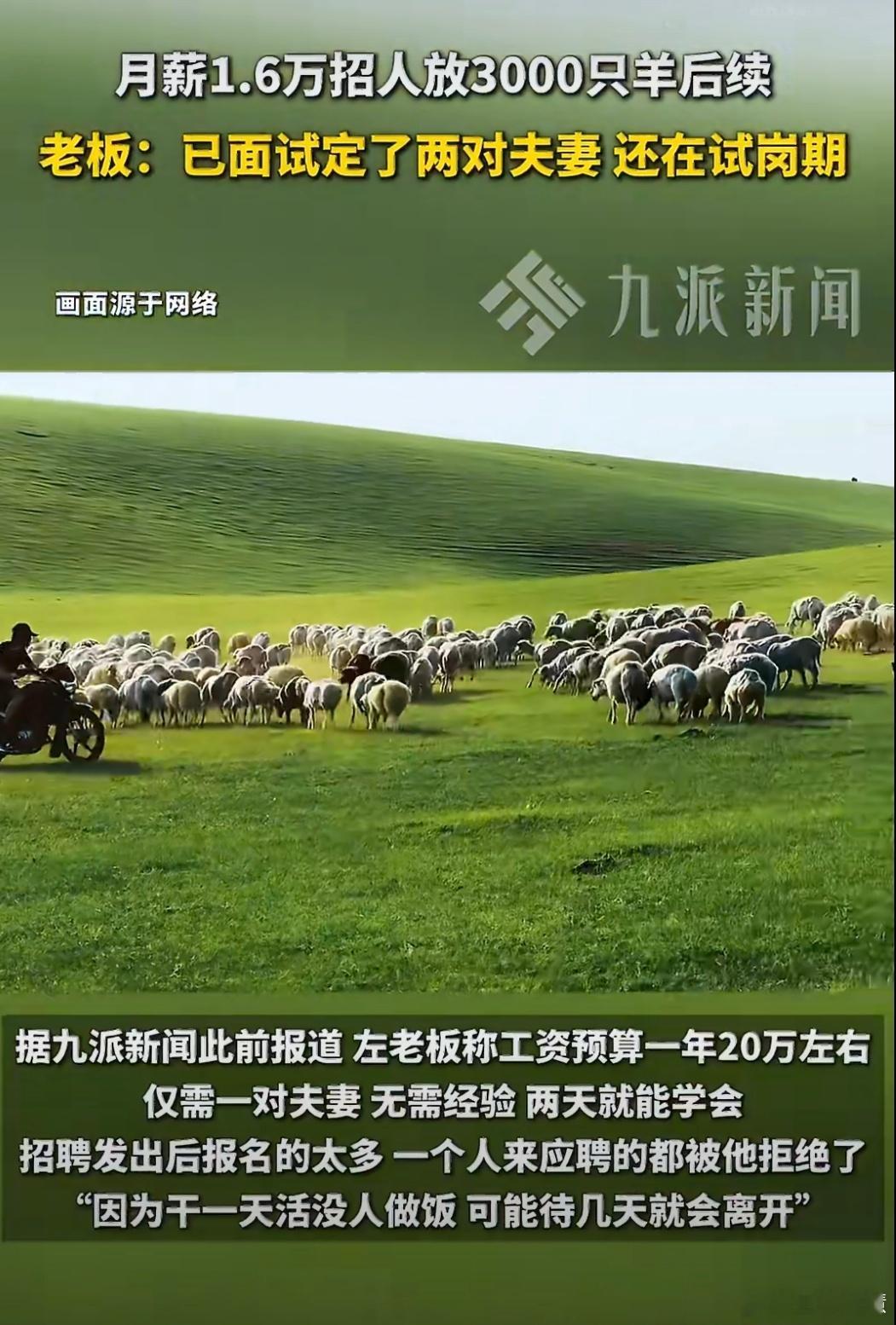 月薪1.6万放羊已有两对夫妻试岗放羊这工作确实特别适合在城里上班上emo的兄弟们