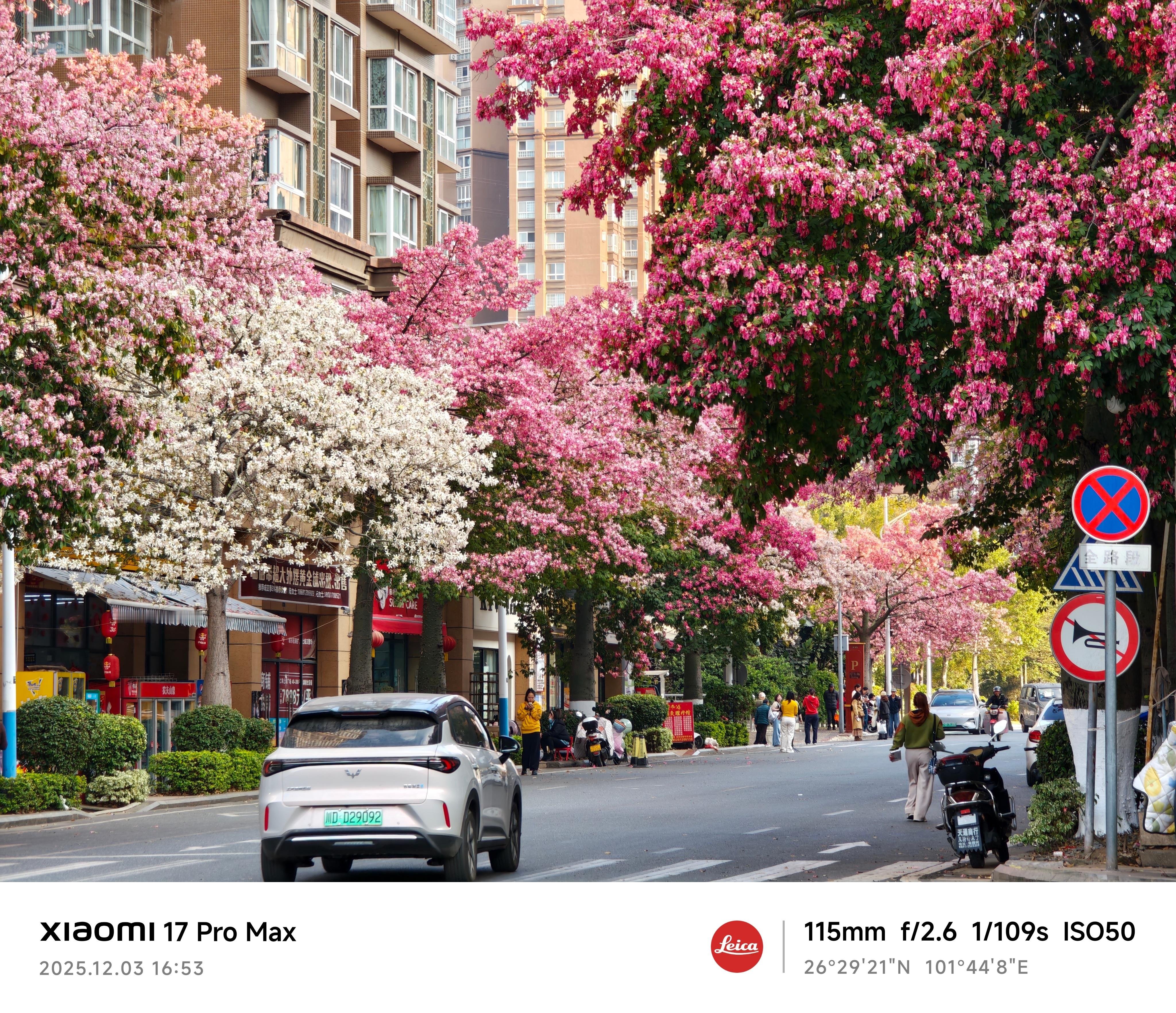 今天攀枝花仁和区的的街景美哭了有没有？阳光花果城 康养攀枝花 攀枝花·上城广场