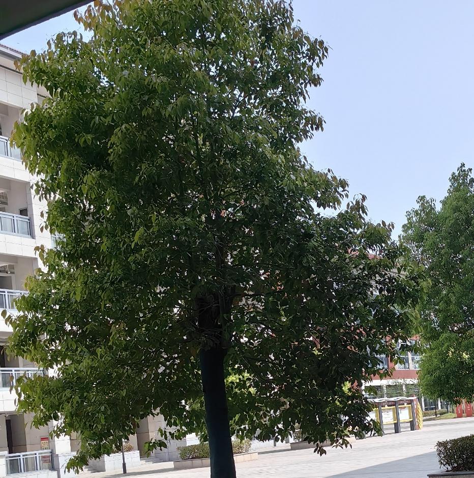 长途卧铺不睡觉还有什么意义呢？必须享受躺着前进的感觉。
我超爱坐绿皮火车卧铺睡觉