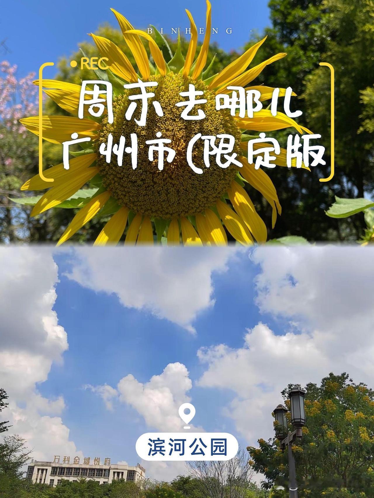 城市绿洲漫游｜私藏小众滨河公园攻略

🌿藏在老城烟火中的治愈系公园，人少景美还
