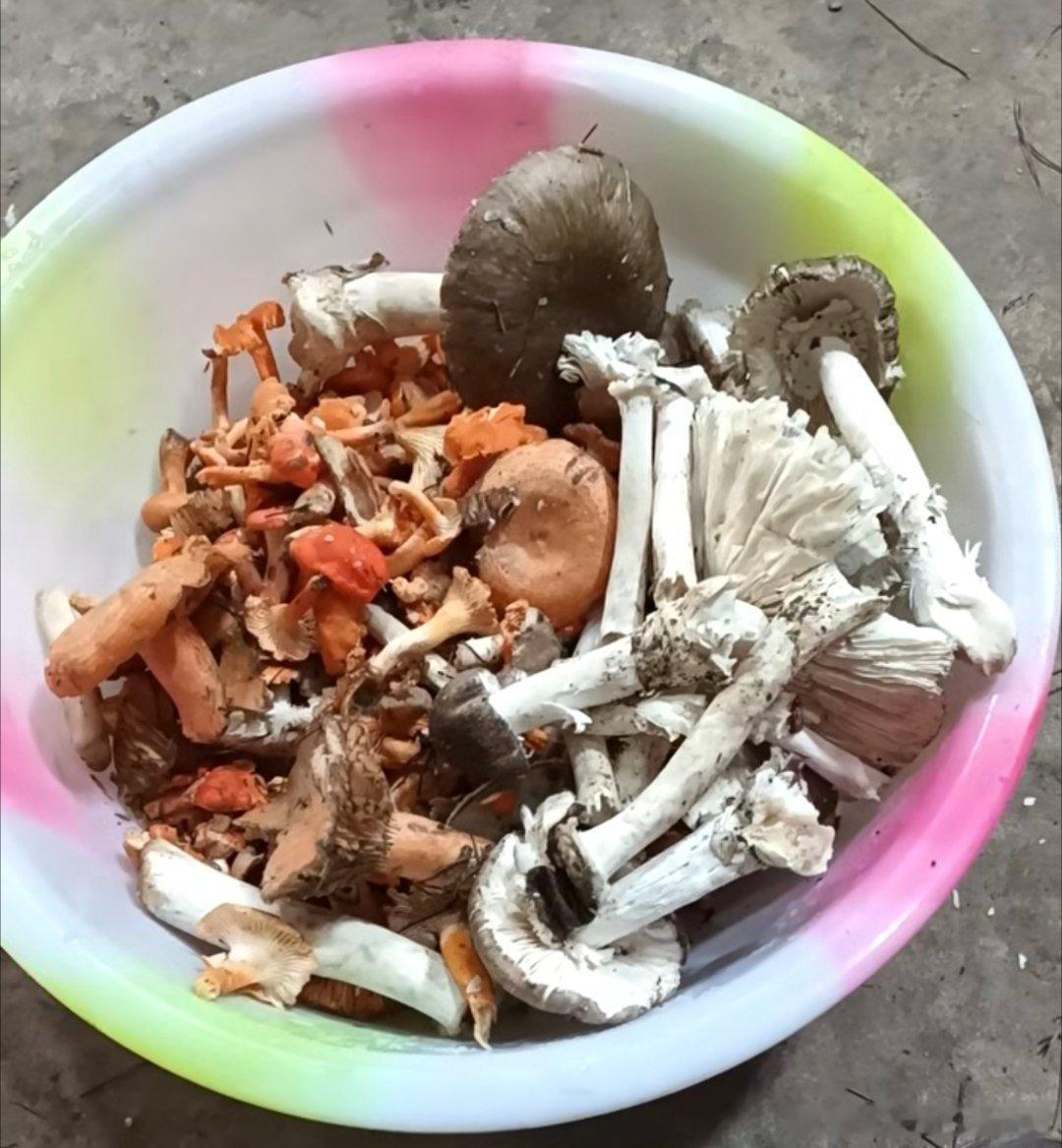 看了屌丝医生的麻辣烫晚餐，再看看财务自由的农村老太婆的晚餐吧。老太太今天早上去山