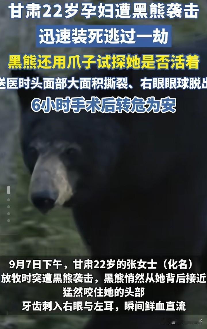 死里逃生，甘肃22岁的孕妇放牧时遭黑熊攻击！

甘肃竟然有黑熊？这个孕妇是装死才