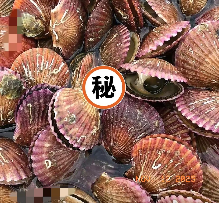 10月31日，高市早苗在访问美国期间，呼吁恢复进口日本水产品，
11月7日，东方