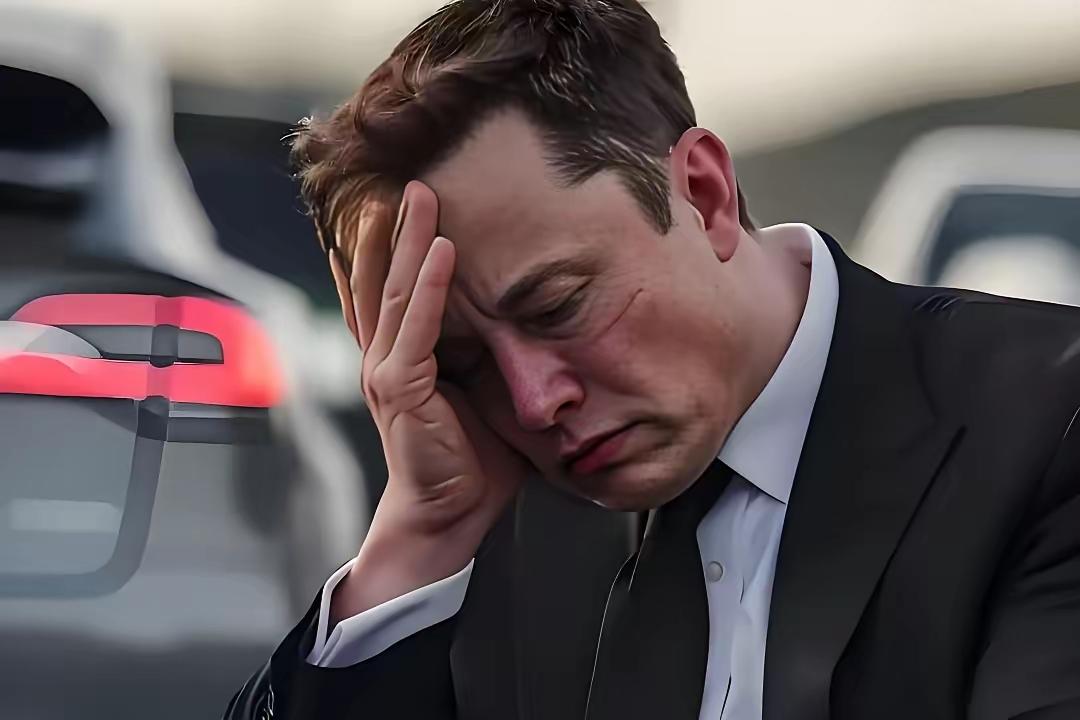 随着熊猫科技的强势崛起，连马斯克都忍不住感叹：这仗怕是不好打了！这位全球首富在最