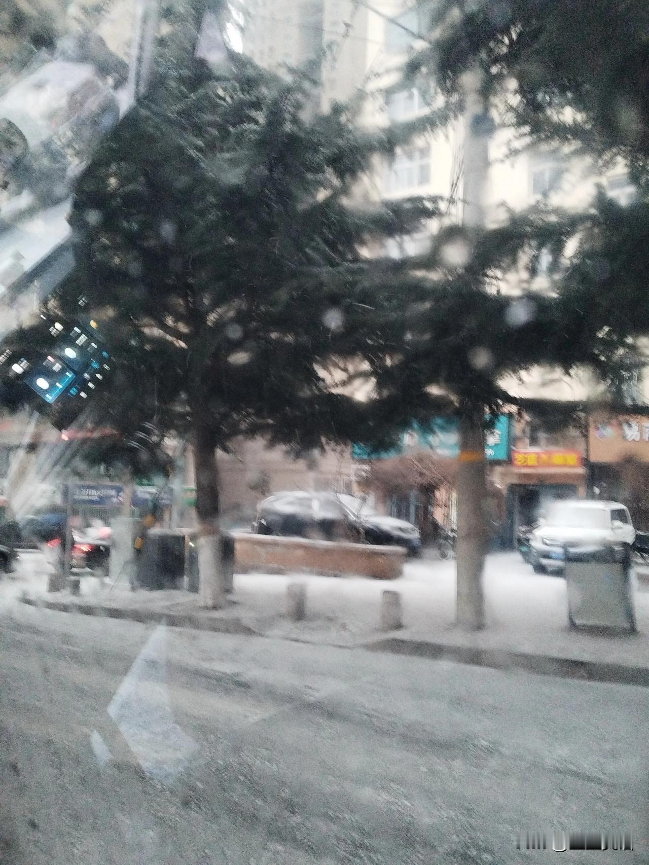青岛终于下雪了。
飘飘扬扬的雪花飞舞，带来了祥瑞，带来了欢乐，带来了一个童话般的