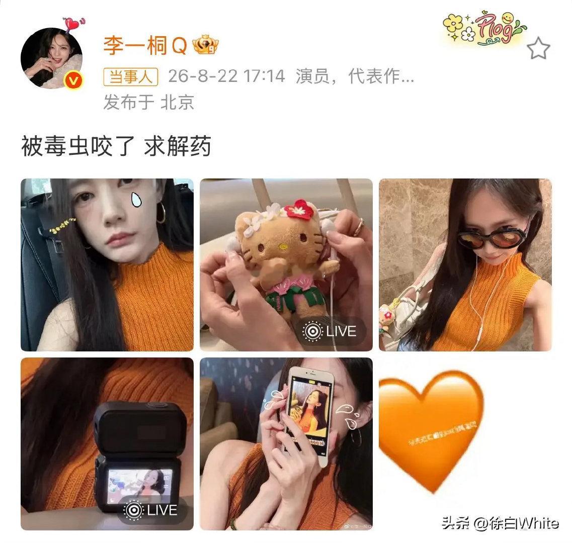 李一桐被毒虫咬了，求解药不看不知道，一看吓一跳，半张脸都肿了，什么虫这么毒？眼下