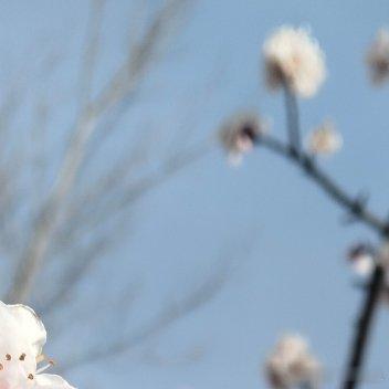阳光信用 以温柔善意对待身边所有人，以长久坚持浇灌梦想，可爱是天性，努力是常态，