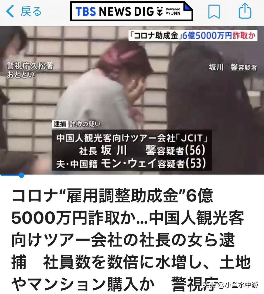 因涉嫌在新冠疫情应对工作中骗取国家发放的约6.5亿日元补助金，一家主营中国游客业
