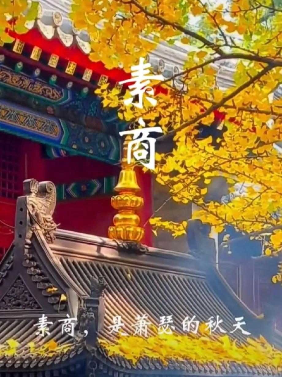 犹太所谓大重构，曝光骇人听闻。以色列复兴计划，向乌克兰扩张，遭遇俄罗斯抵抗，波兰