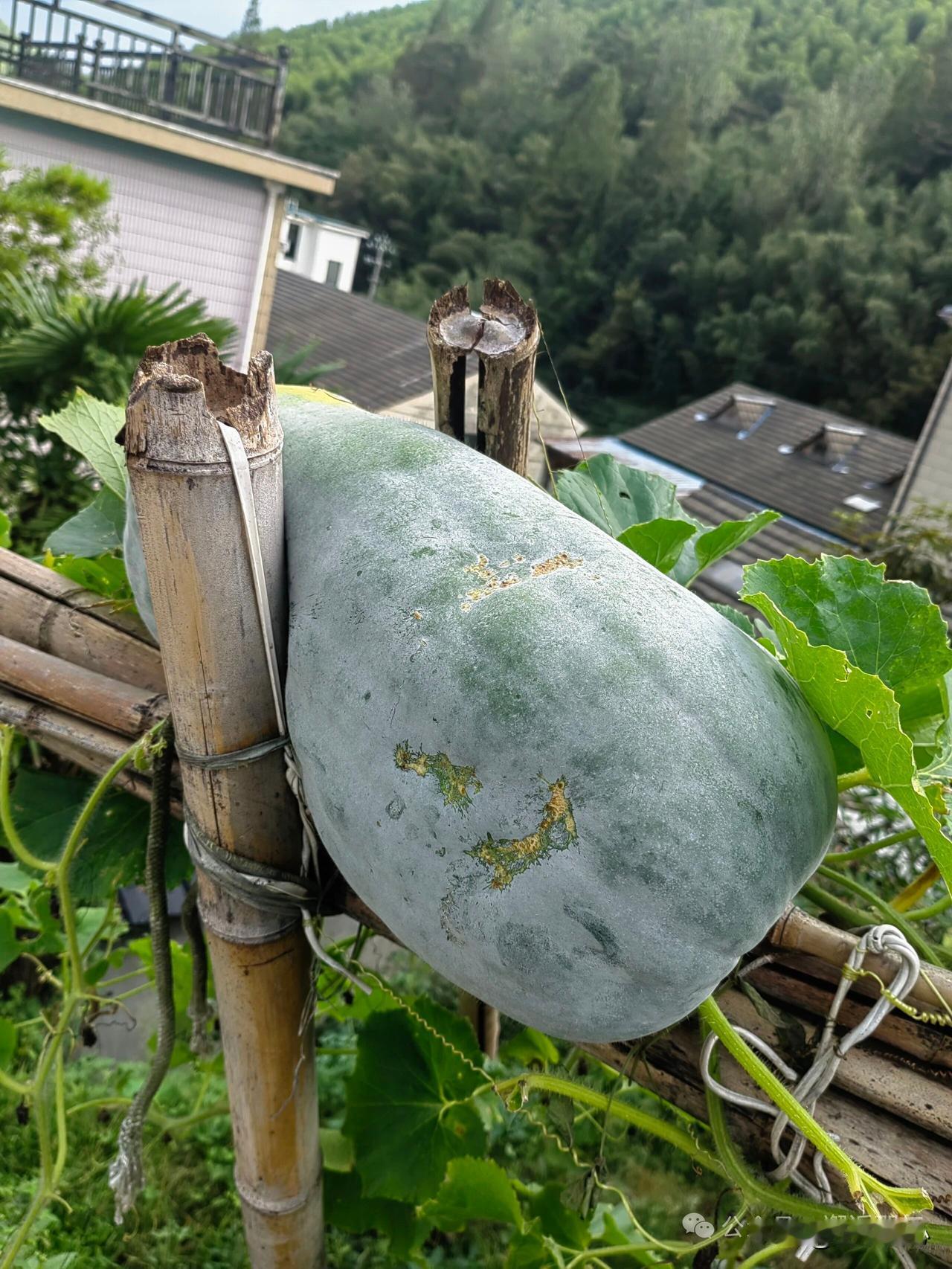 “安利”核心有两层意思：
 
1. 本义：美国知名日用品公司安利（Amway） 