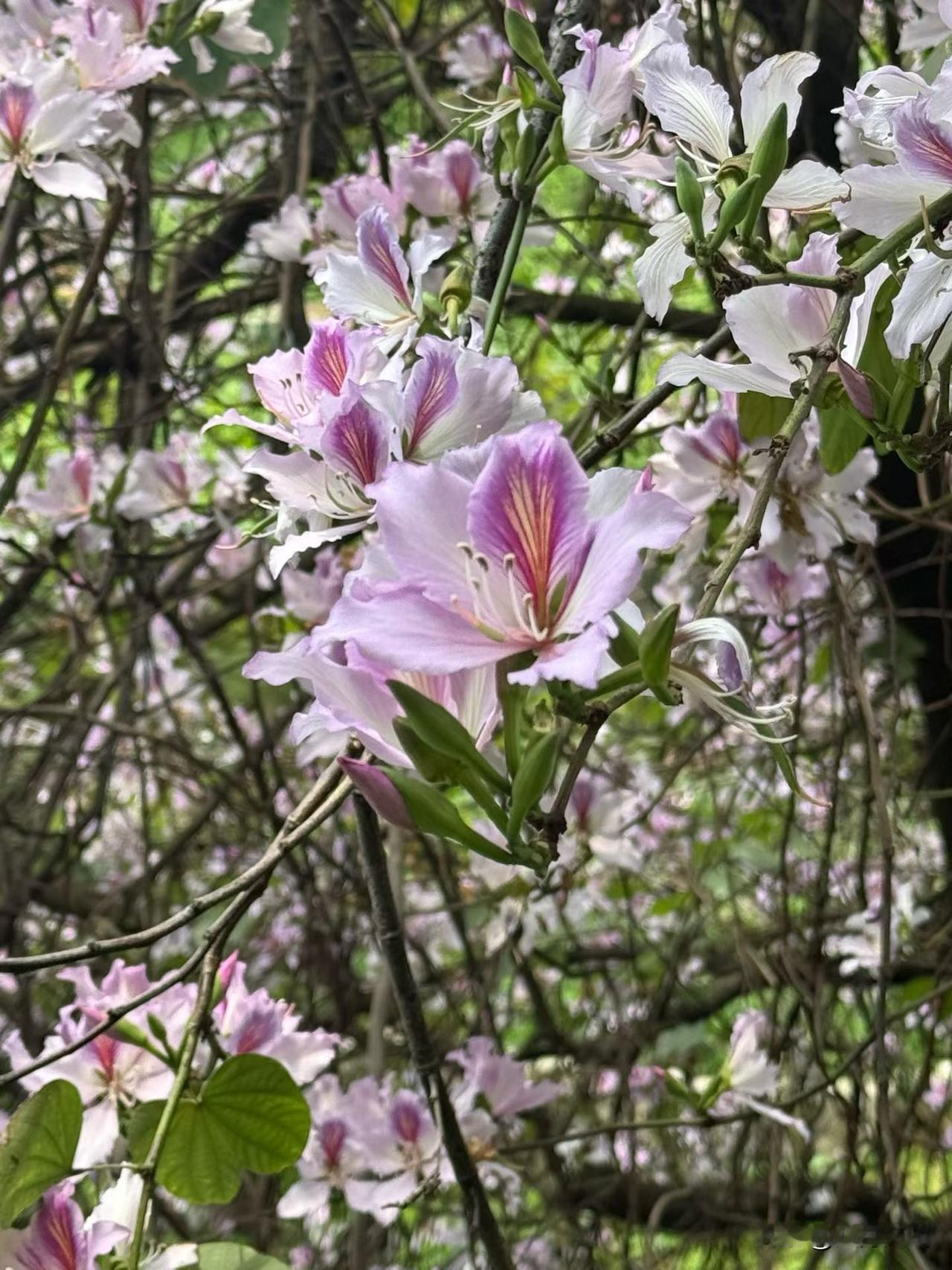 是不是总觉得，想靠自己的本事、靠创意赚钱，得先学够本事、攒够经验，才能动手？
