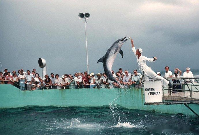 1970年的美国佛罗里达 