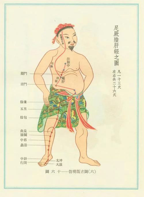 情绪释放后内收肌变化