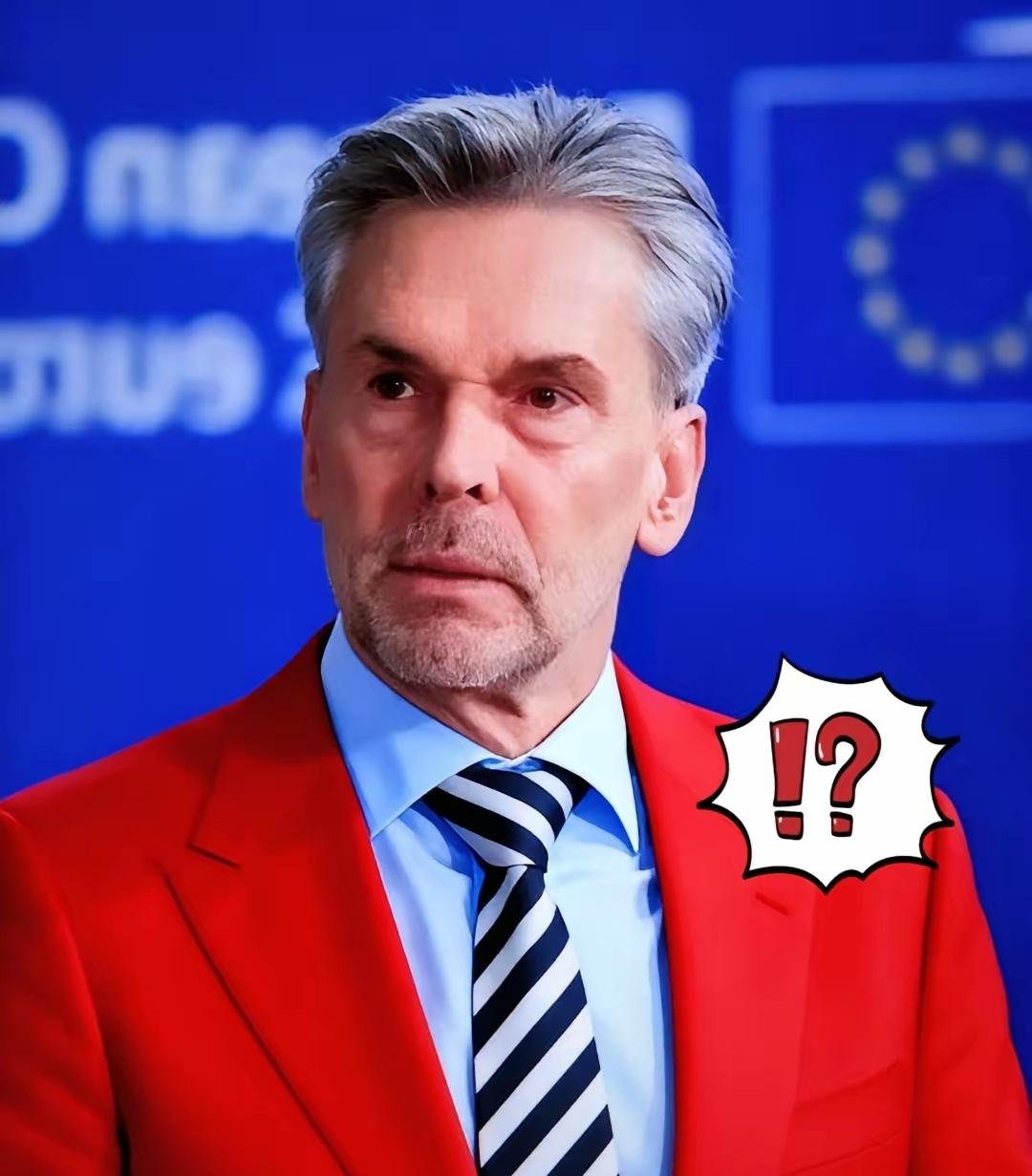 快讯！快讯！

荷兰官员称中国不敢断供稀土？背后的依赖真相藏不住了
 
​​荷兰