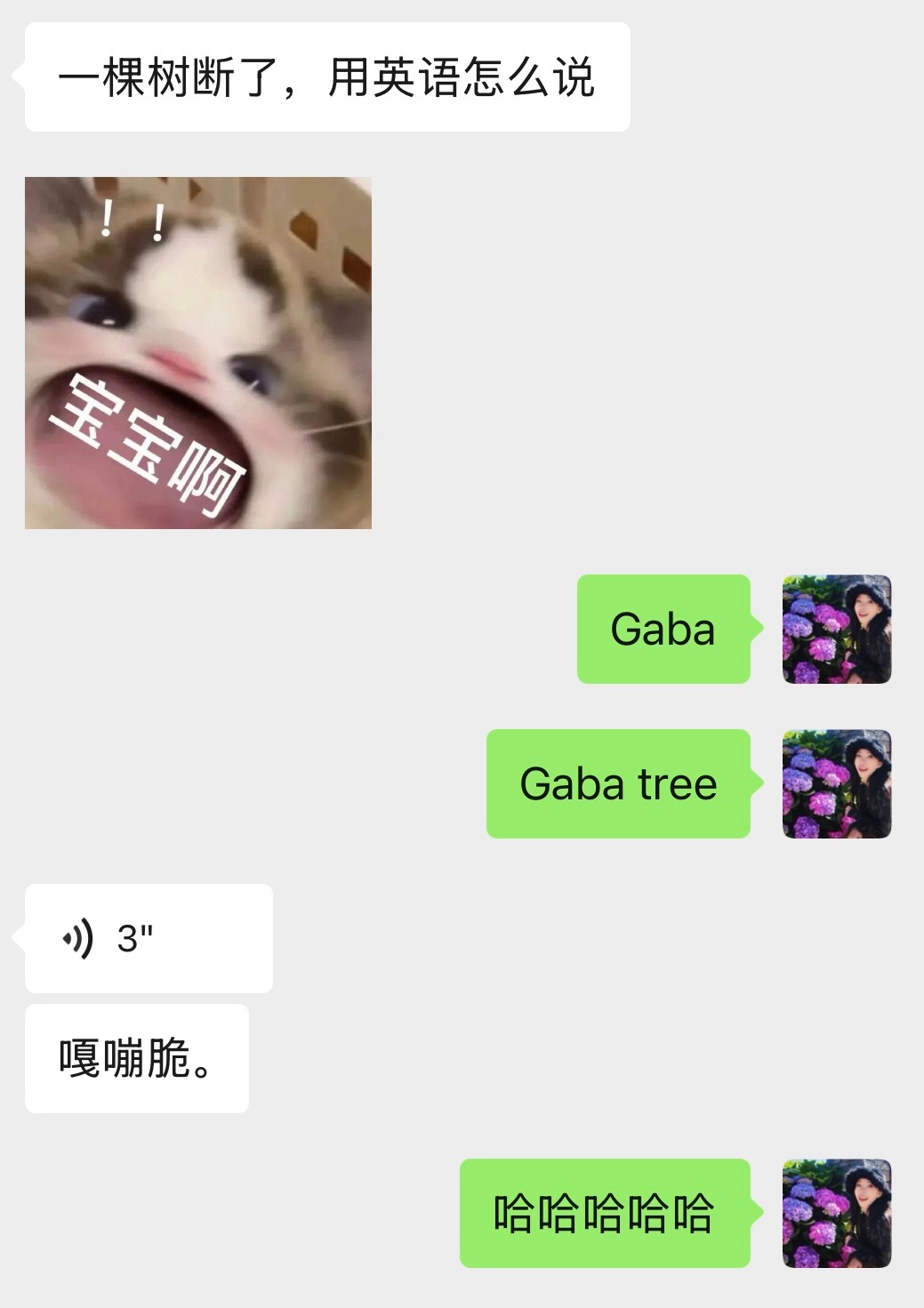 脑筋急转弯，你们能猜中几个？