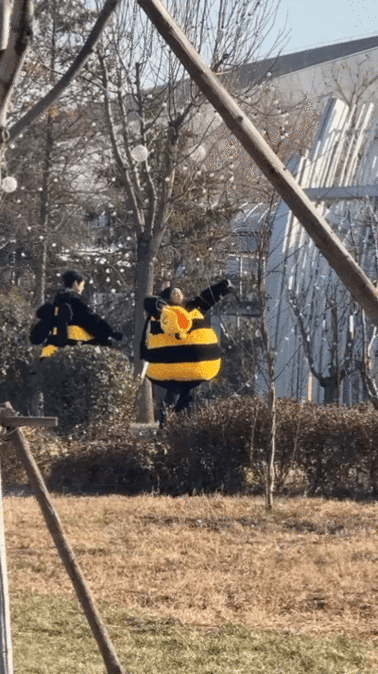 魏大勋帮高叶拉拉链周五晚高疯 就是说魏大勋在照顾姐姐这一块！！综艺路透现场穿蜜蜂