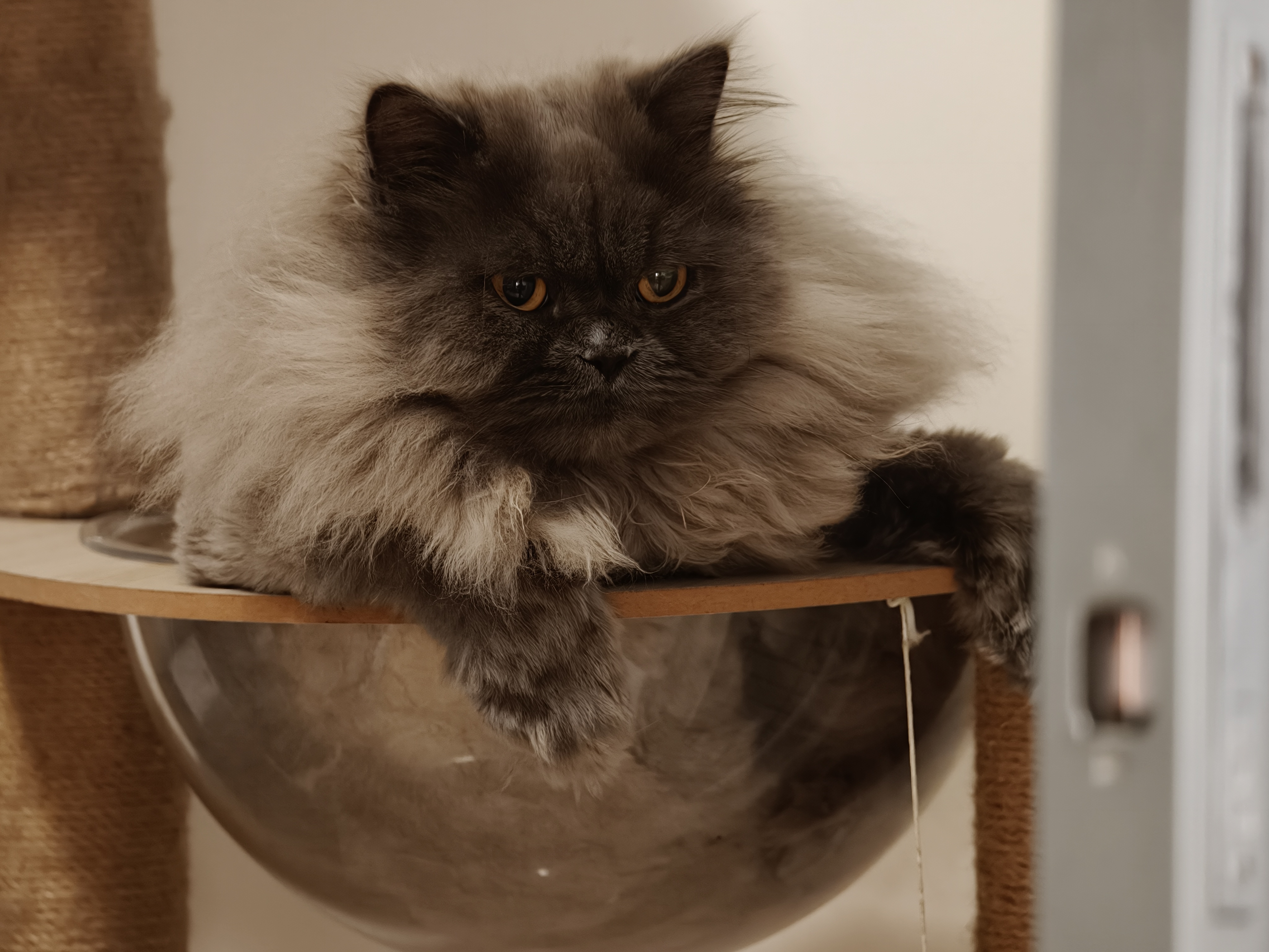 我总觉得，Oppo Find X9 Pro在哈苏增倍镜模式下的算法，和其他模式是