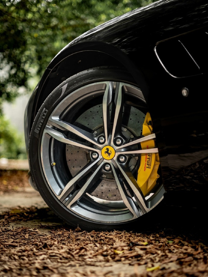 树影摇曳，洒下一片片斑驳陆离的光影。午后的阳光宛如细碎的金子，零零散散地洒落下来