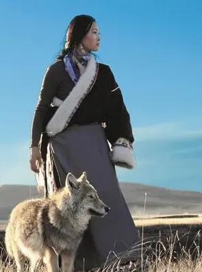 女画家李微漪说，我遇到最大的一条狼，叫七分半，这是我们对它的称呼，为啥叫七分半？