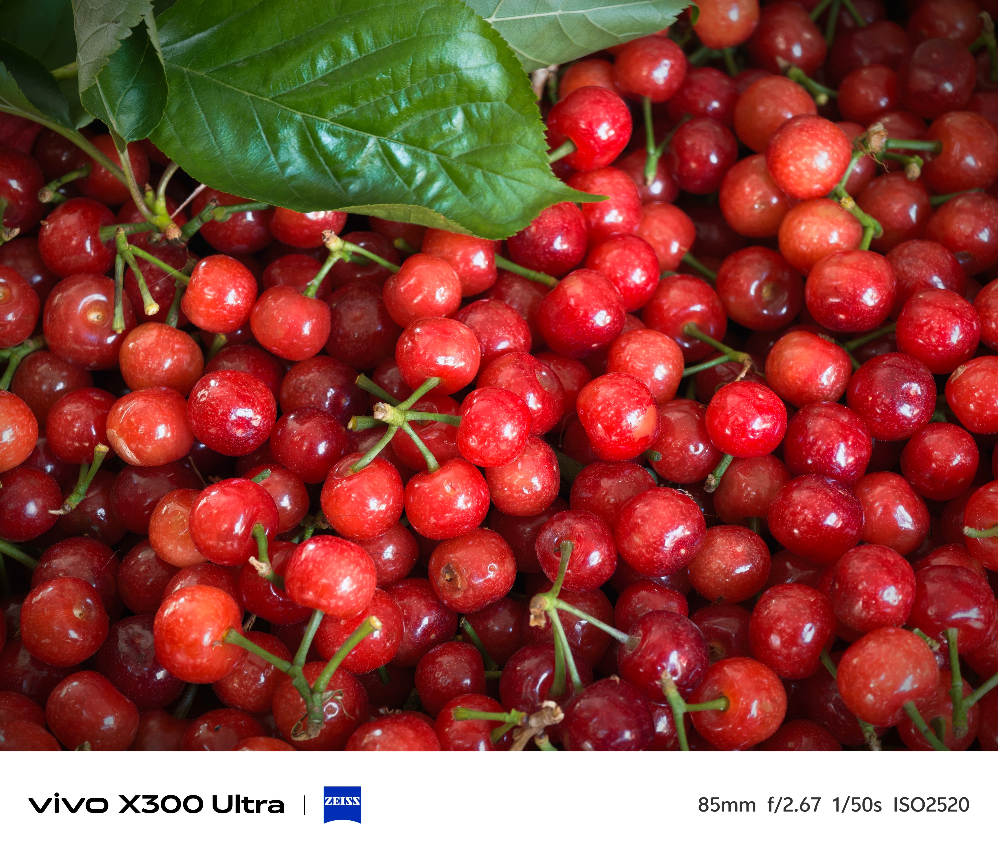 回家第一件事，看看小樱桃啥价格了，15一斤