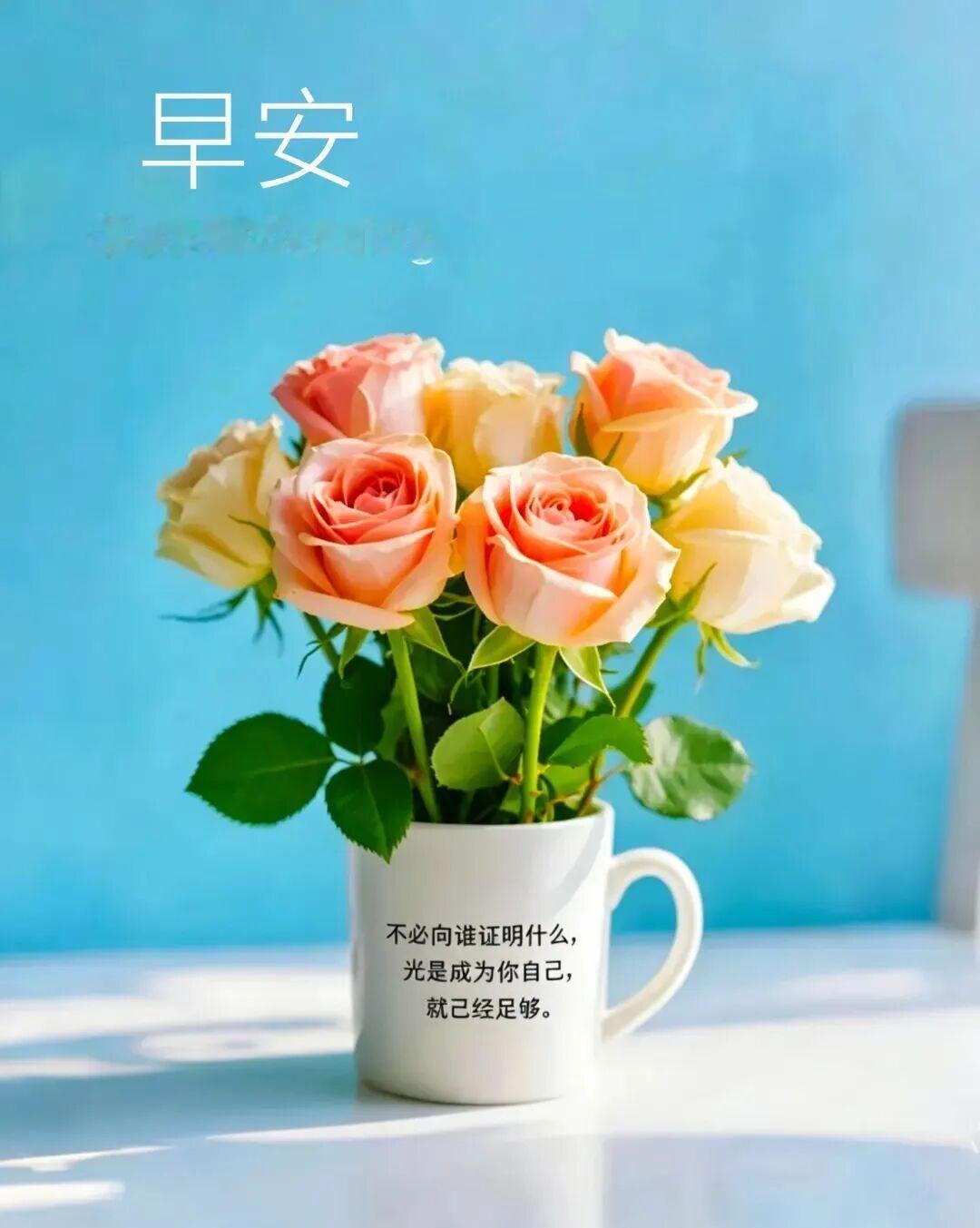 清晨的微风，连空气里都带着泥土和青草的香气。告别昨天的疲惫，张开双臂拥抱新一天的
