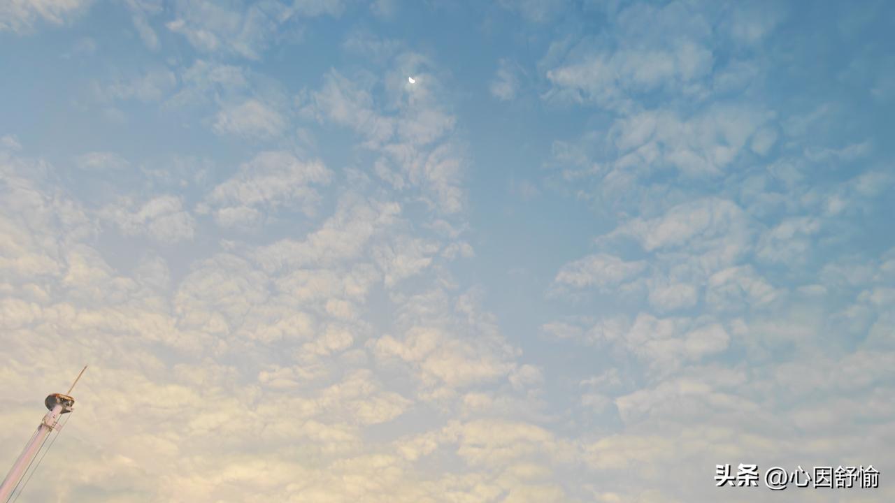 请友友对下联：
上联：云遮月亮花无影
下联：雨打芭蕉叶有声
         （