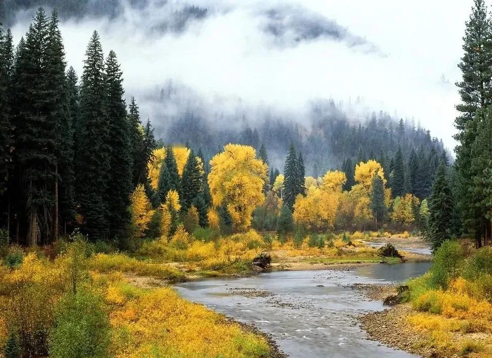 真是春风得意马蹄疾
一夜看尽长安花啊！
热烈祝贺南开大学庄雨锦同学成为北京市财政