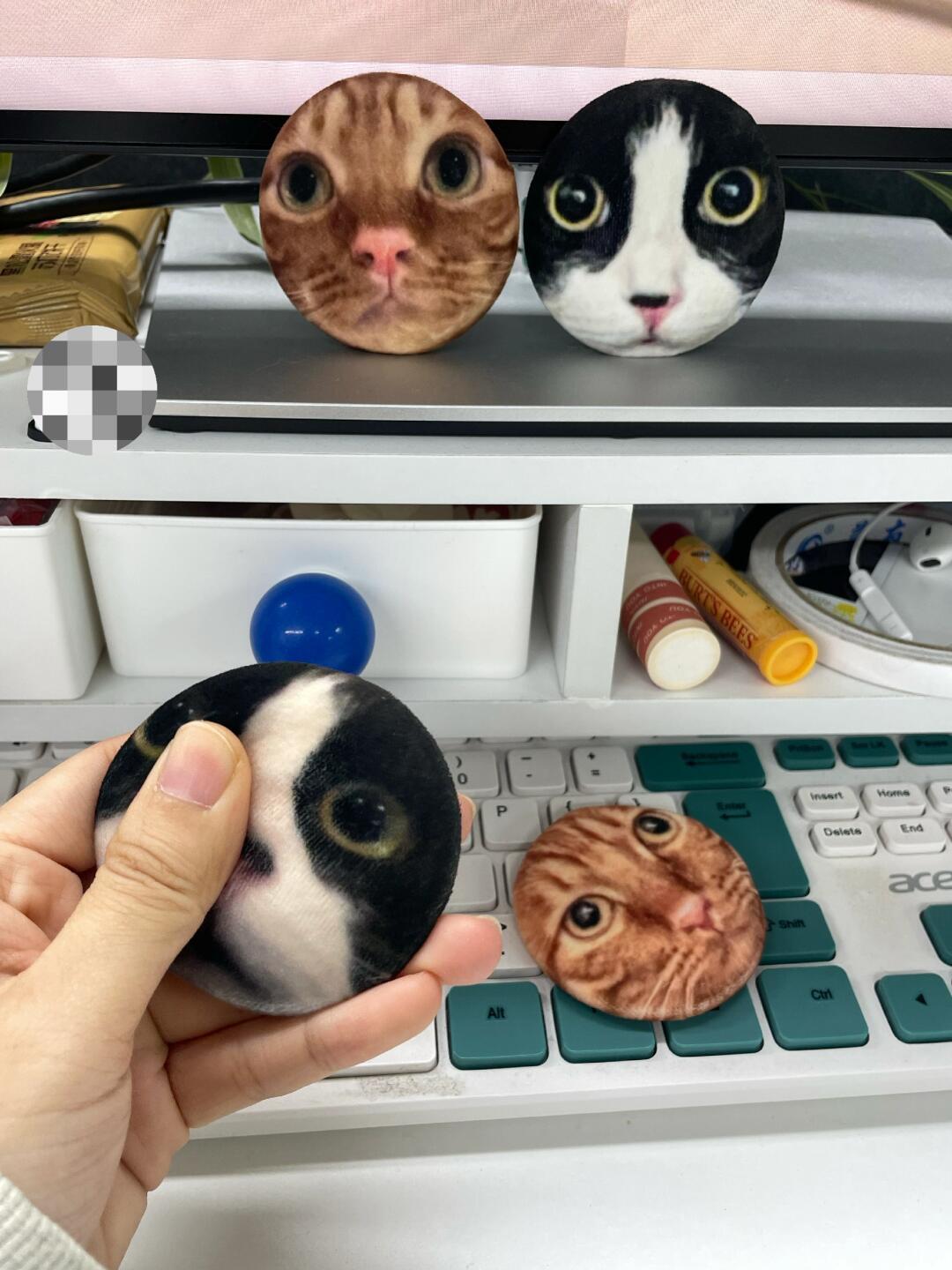 用猫咪照片做的毛绒吧唧好可爱！马上给家里逆子安排 