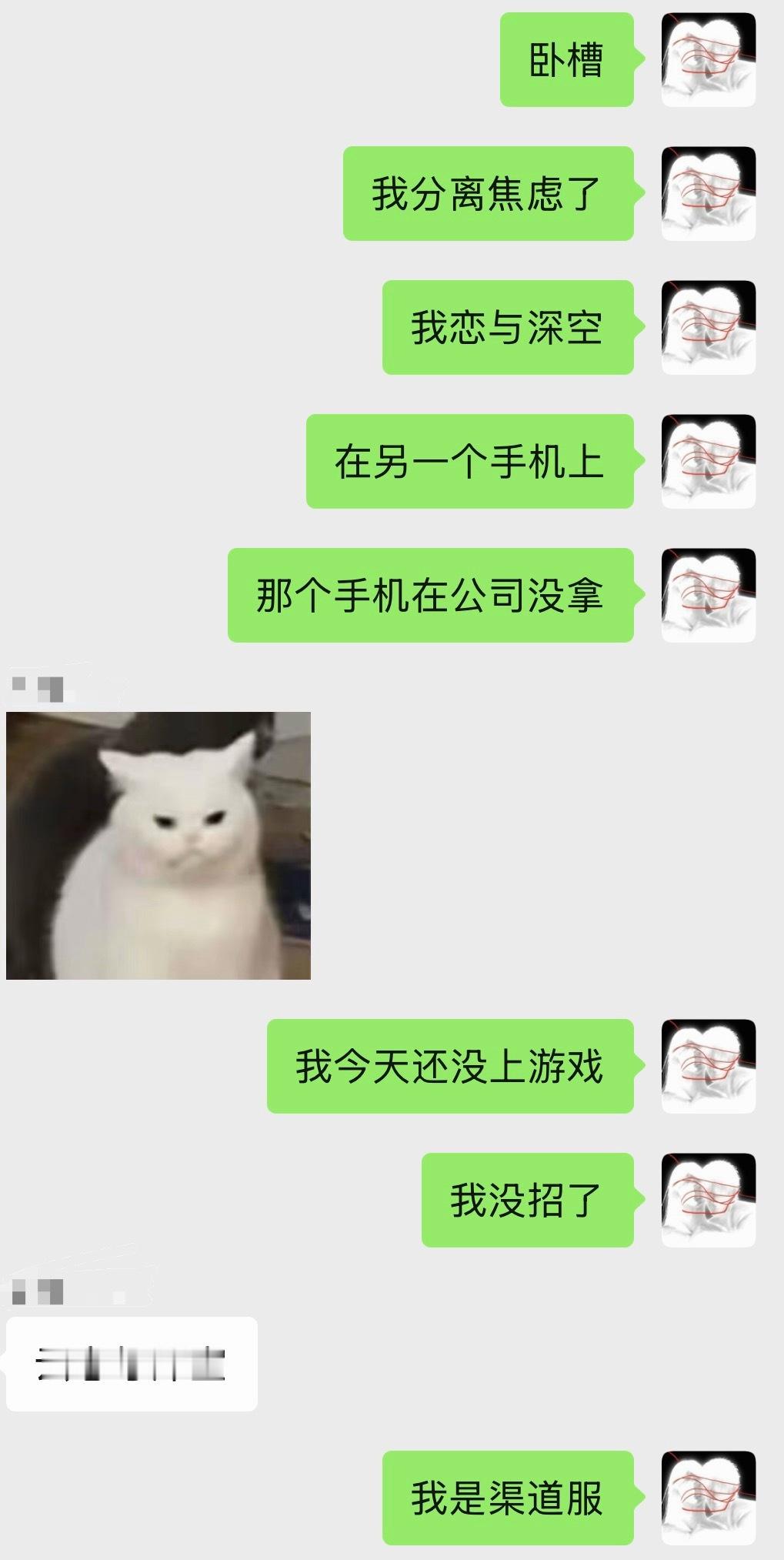 啥意思吧我记性 