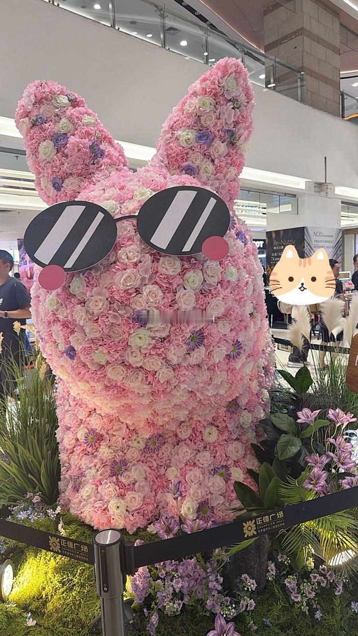 冒个泡