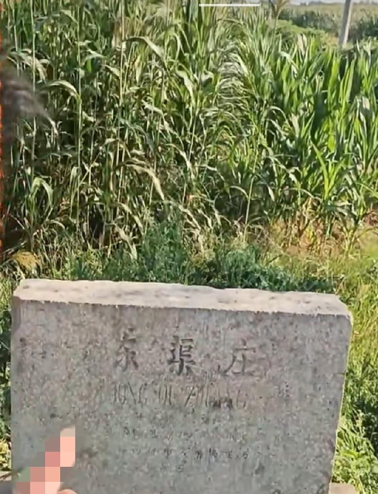 郓城县程屯镇东渠庄
明洪武二年，（1369年）渠氏一世祖赐达，字从政，携其侄渠让